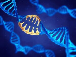 Estudio afirma que los genes determinan lo que comemos