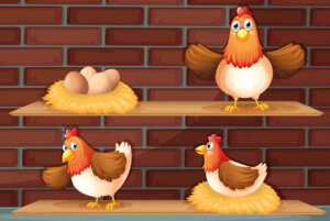 ¿El huevo o la gallina? ¿Qué fue primero?