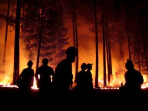 Reporte explica que la Tierra tendrá problemas en el 2050 si no disminuyen las emisiones de carbono