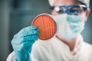 Superbacterias: ¿qué riesgo pueden representar en el futuro?